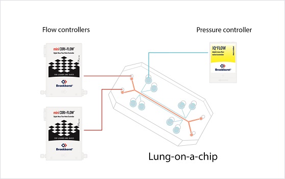 用于芯片上肺应用的流量和压力控制器的示意性连接